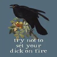 try not to set your dick on fire (light text) - design