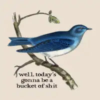 well, today's gonna be a bucket of shit dark text - design