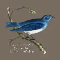 well, today's gonna be a bucket of shit light text - design