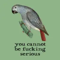 you cannot be fucking serious (dark text) - design
