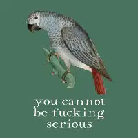 you cannot be fucking serious (light text) - design