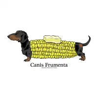 Corndog - design