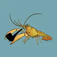 Craw-Dad - design