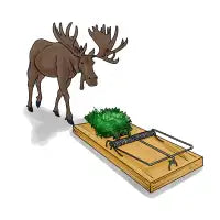 Moose Trap - design
