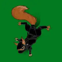 Ninja Squirrel - design