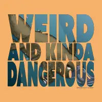 Weird and Kinda Dangerous - design