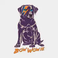Bow Wowie - design