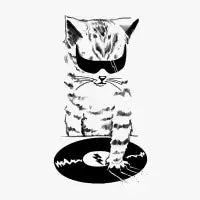 DJ Scratch - design