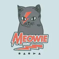 MEOWIE - design