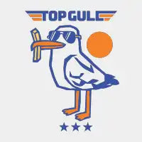 TOP GULL - design