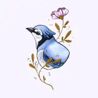 Bluejay - design