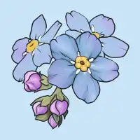 Forget me not - design
