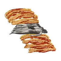 Fry - design