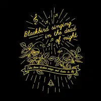 Blackbird - design