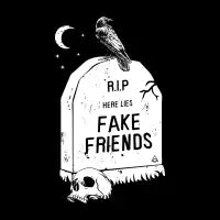 Fake friends - design