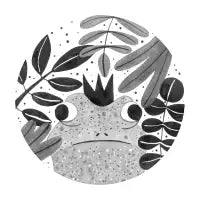 Sapo, sapito - design