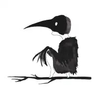 Un chico llamado Cuervo II - design