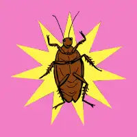 MIGHTY COCKROACH - design