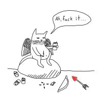Catpid - design
