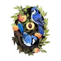 Happy Little Birds - design
