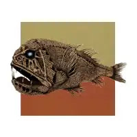 Deep sea fish - design