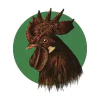 Rooster - design