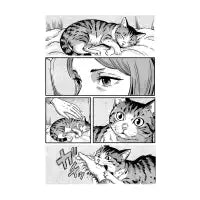 Cat Attack - design
