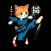 Ninja Cat - design
