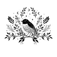 A Bird with Seven Moons - design