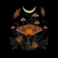Autumn Light Underwing - design