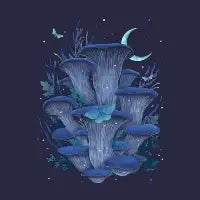 Blue Oyster - design