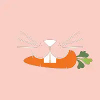 Bunny with Carrot - Warm Pink - design