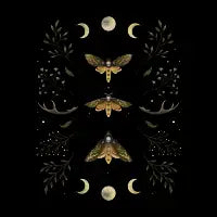 Death Head Moths Night T-Shirt - design
