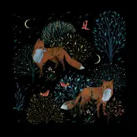 Forest Foxes - design