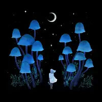 Fungi Forest - design