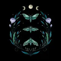 Lime Hawk Moths Night - design