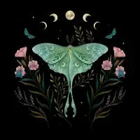 Luna and Forester - design