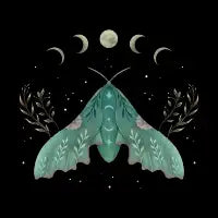 Luna and Moth - design