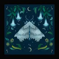 Magical Night with White Angel Moth - design