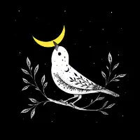 Moon Bird - design
