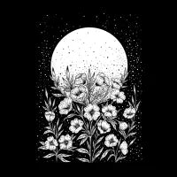 Moon Greeting - design