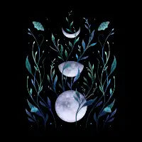 Phase & Grow - Teal - design