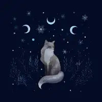 Winter Fox - design