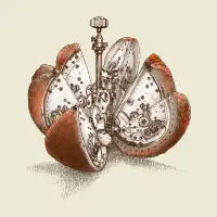 Steampunk Orange - design