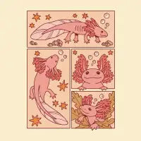 Axolotl - design