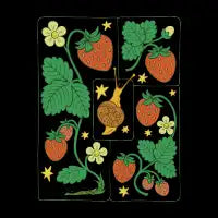 Strawberry Dreams - design