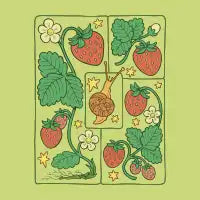 Strawberry Dreams - design