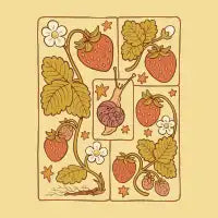 Strawberry Dreams - design