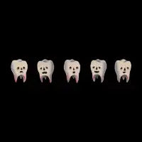 Five Dudes - design