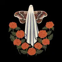 Marigold Ghost Moth - design